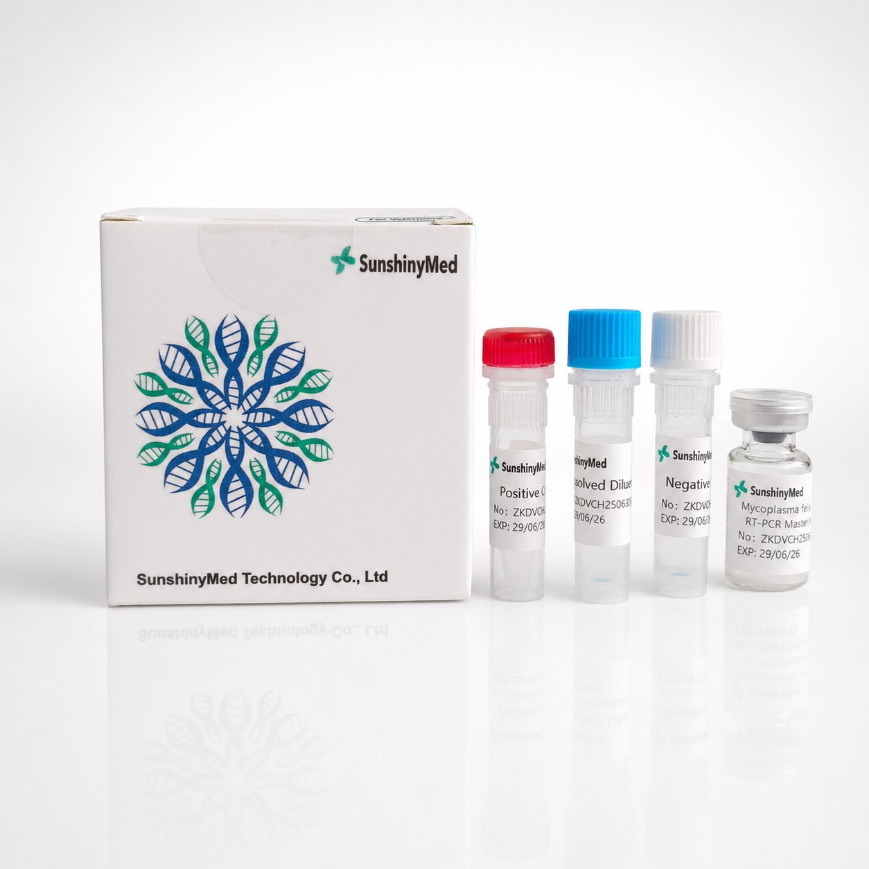 Mycoplasma felis (MF) Detection Kit