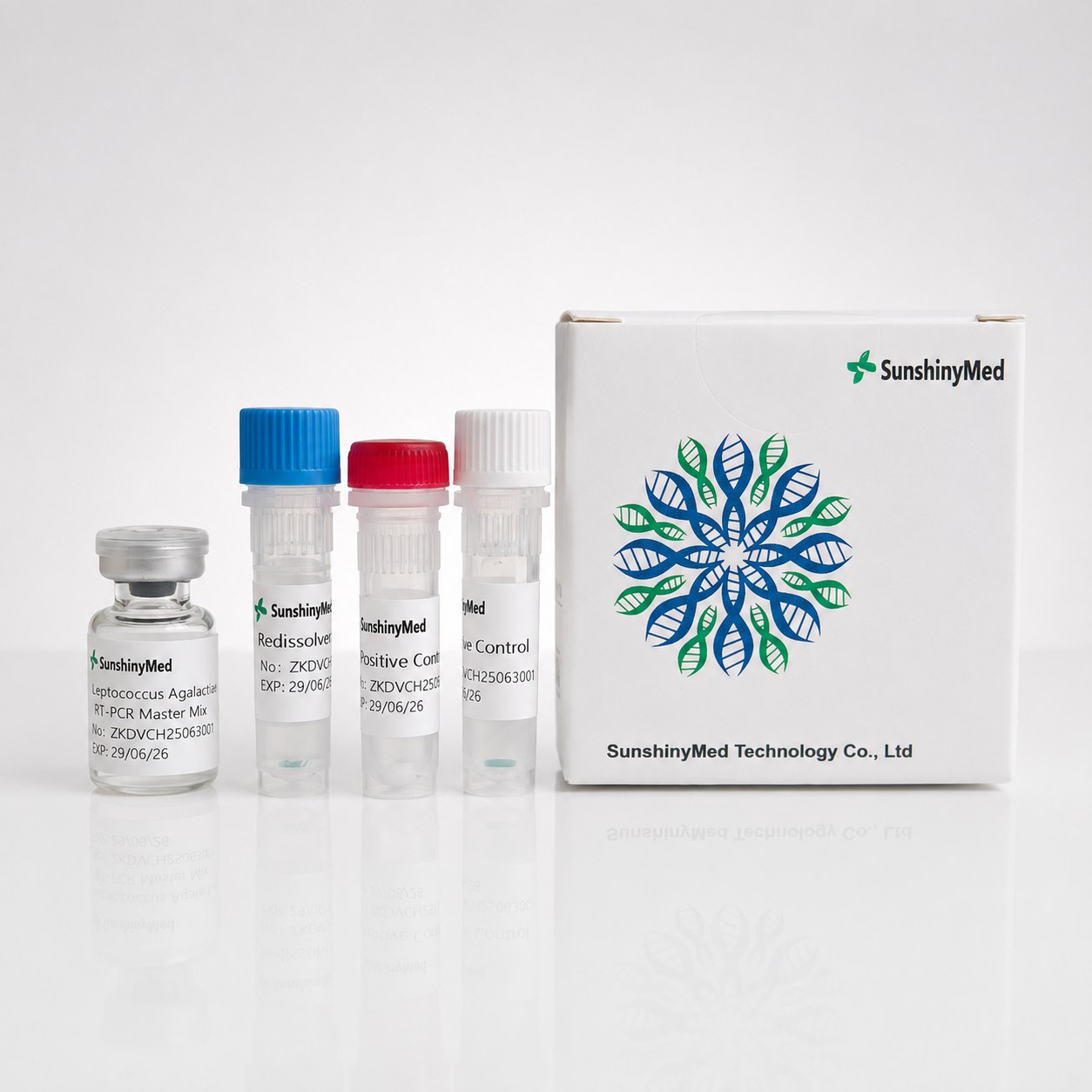 Streptococcus Agalactiae Detection kit