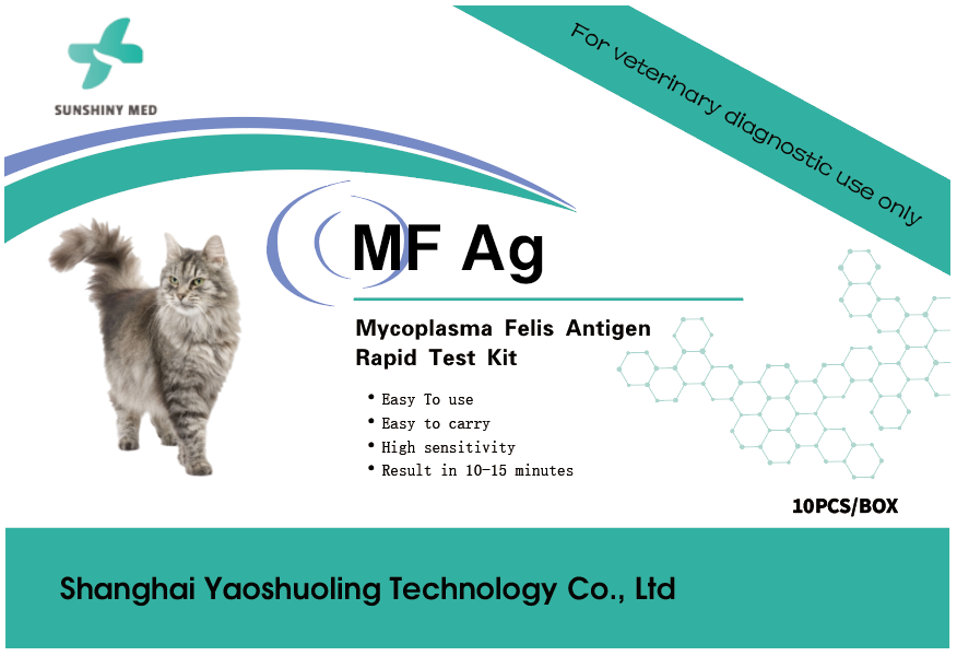 Mycoplasma in Dogs and Cats, Rapid Detection of Respiratory Pathogens
