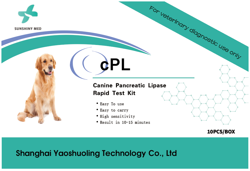 Canine Pancreatic Lipase Test Kit aids in the auxiliary diagnosis of canine pancreatitis