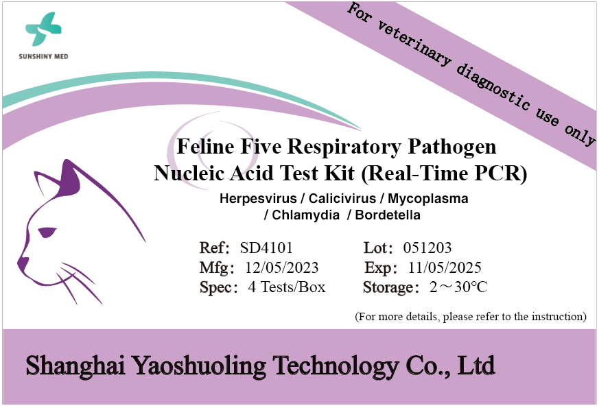 Common Feline Respiratory Viruses and Their Typical Symptoms
