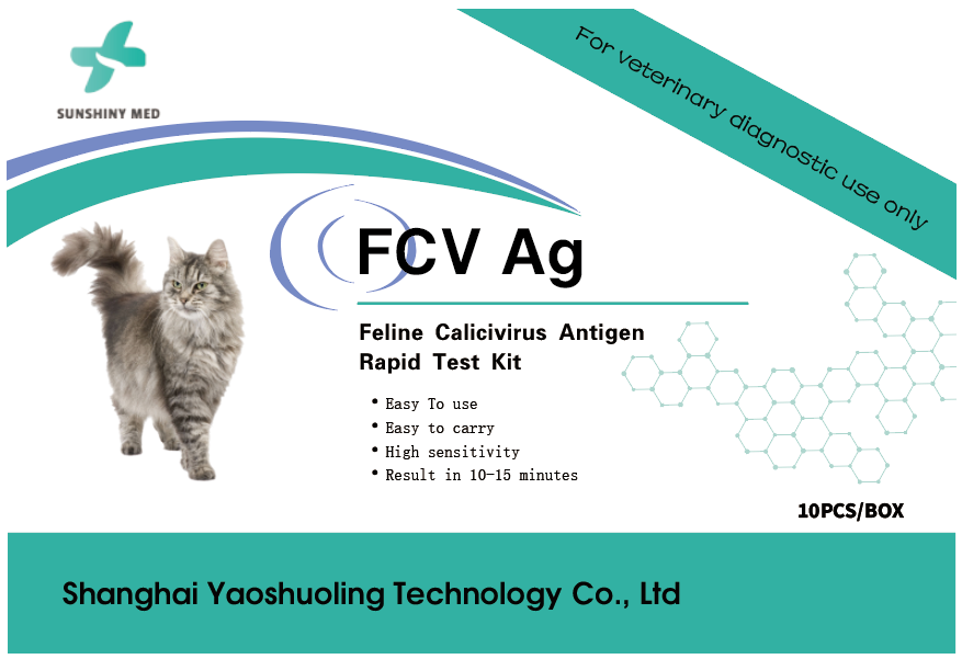 Is Feline Calicivirus Incurable? A Lifelong Carrier? It's Time to Debunk These Misconceptions