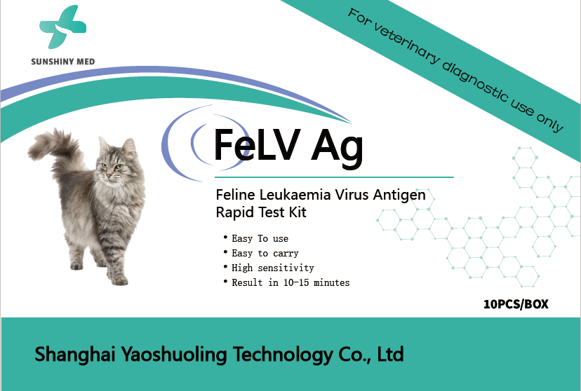 Can cats also get leukemia? It is a major threat to cats' lives and health! You must understand this clearly!!!