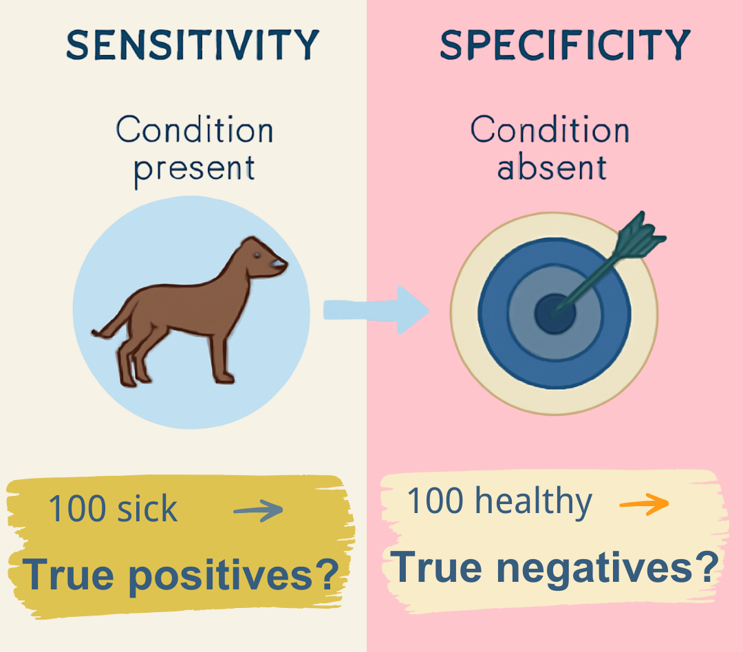 Sensitivity vs. Specificity: The Golden Keys to Accurate Veterinary Diagnostics