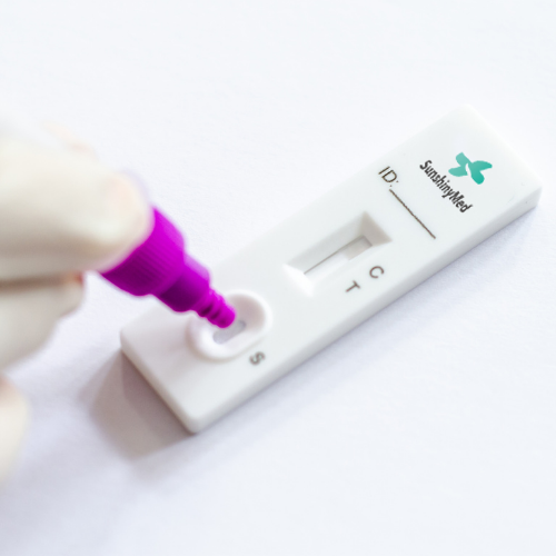 Rapid Test