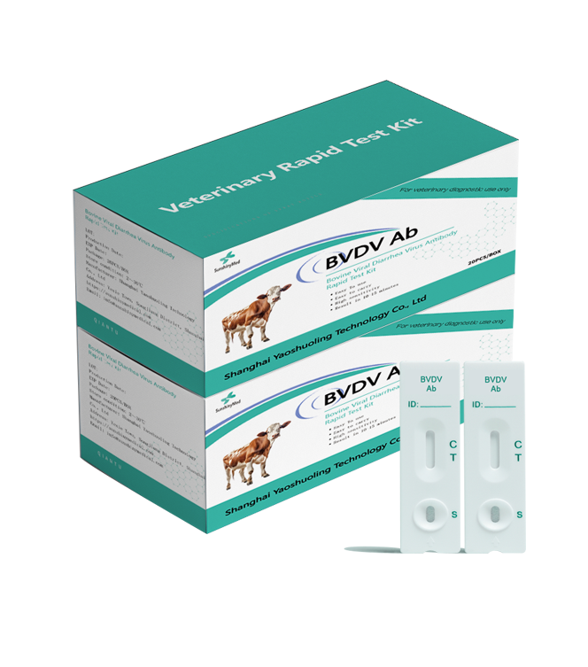 Bovine Viral Diarrhea Virus Antibody Rapid Test